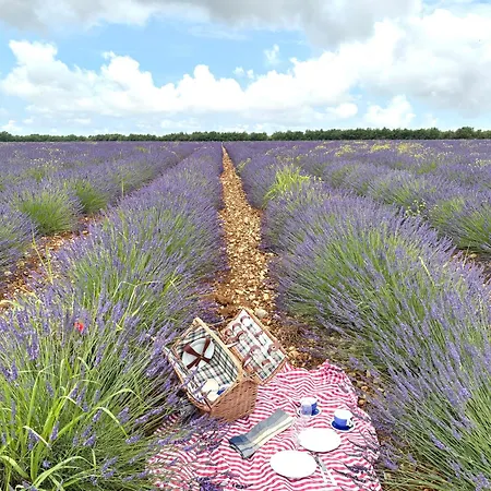 En Pleine Nature ラグジュアリーテント